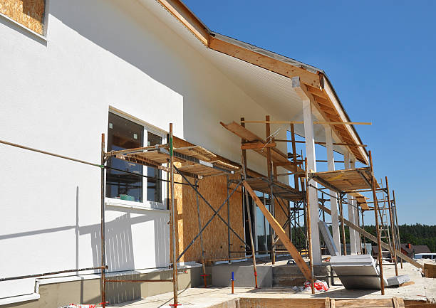East Rockingham, NC Mold Removal Company